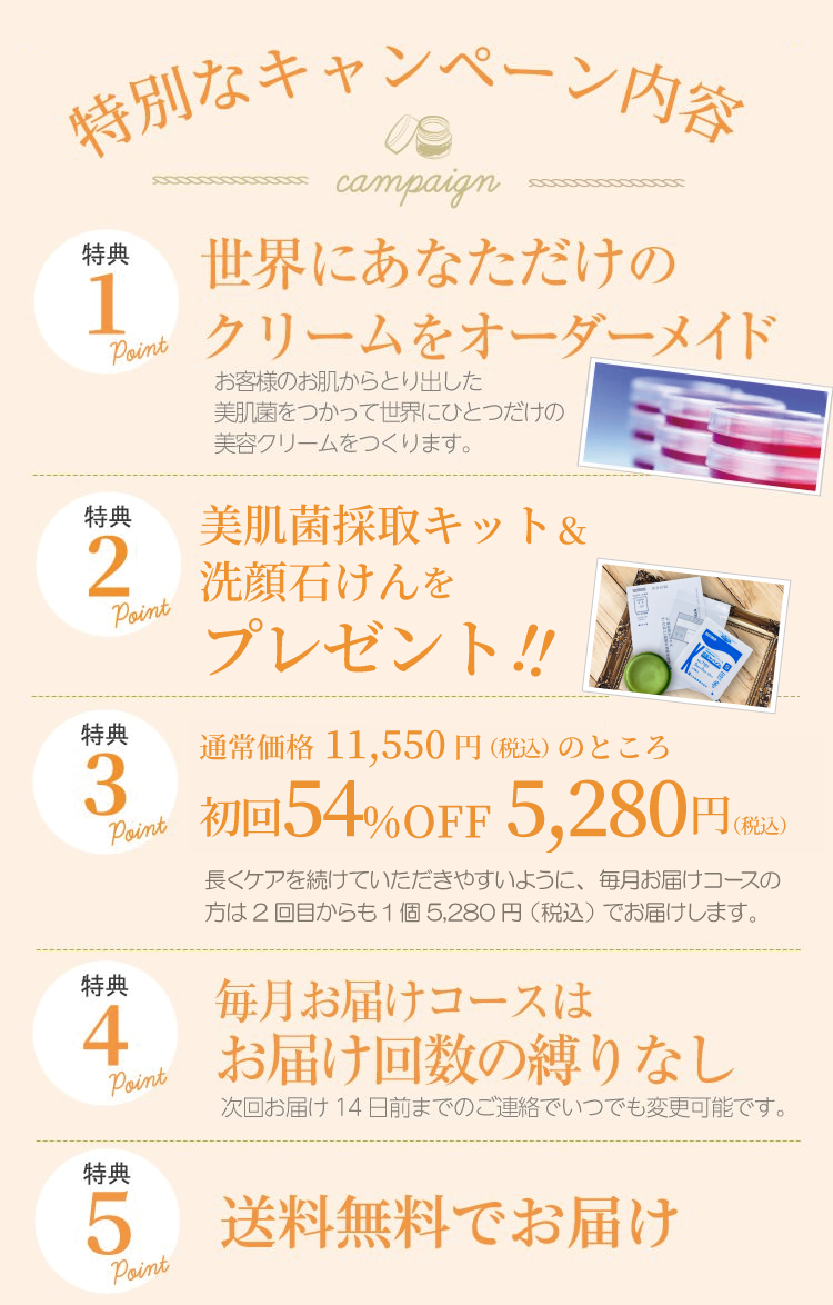 特別なキャンペーン内容