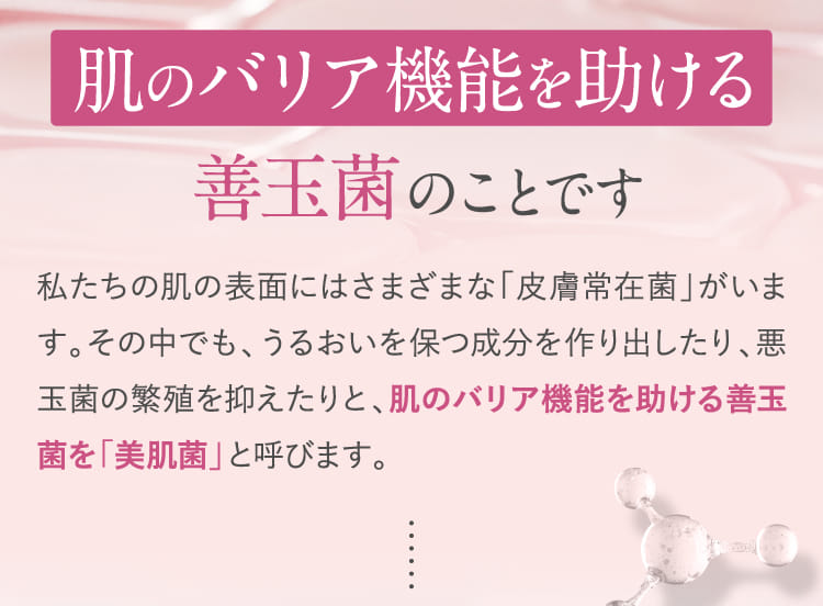 肌のバリア機能を助ける善玉菌のことです