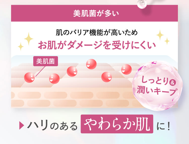 美肌菌が多い ハリのあるやわらか肌に！