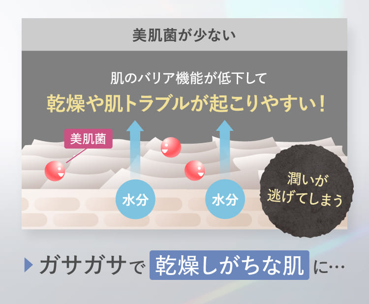 美肌菌が少ない ガサガサで乾燥しがちな肌に…