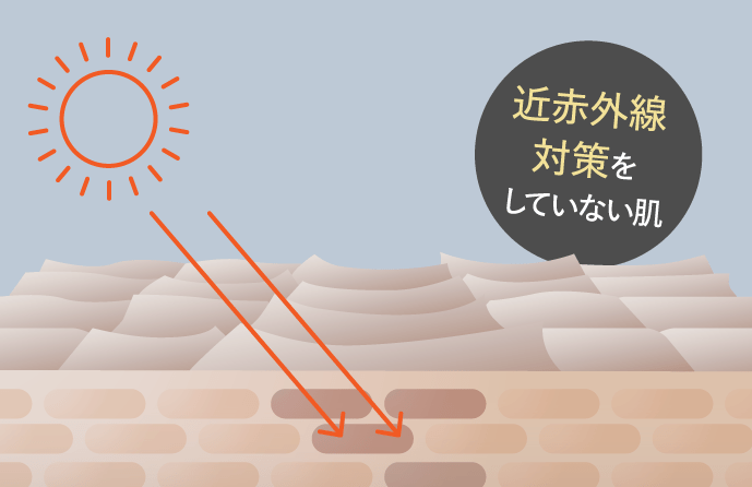 近赤外線対策をした肌